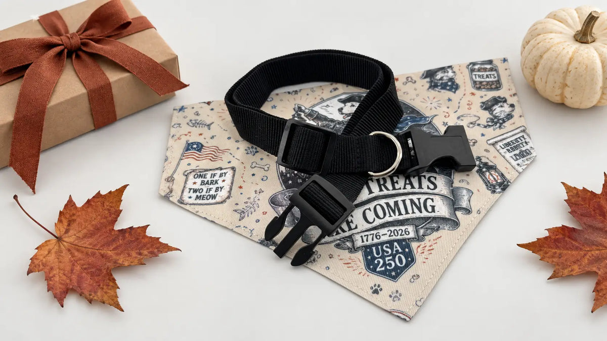 Made to Order vs. Ready to Ship: How to Plan a Pet Gift