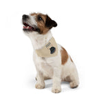 "United States of Staying Put" Pet Bandana