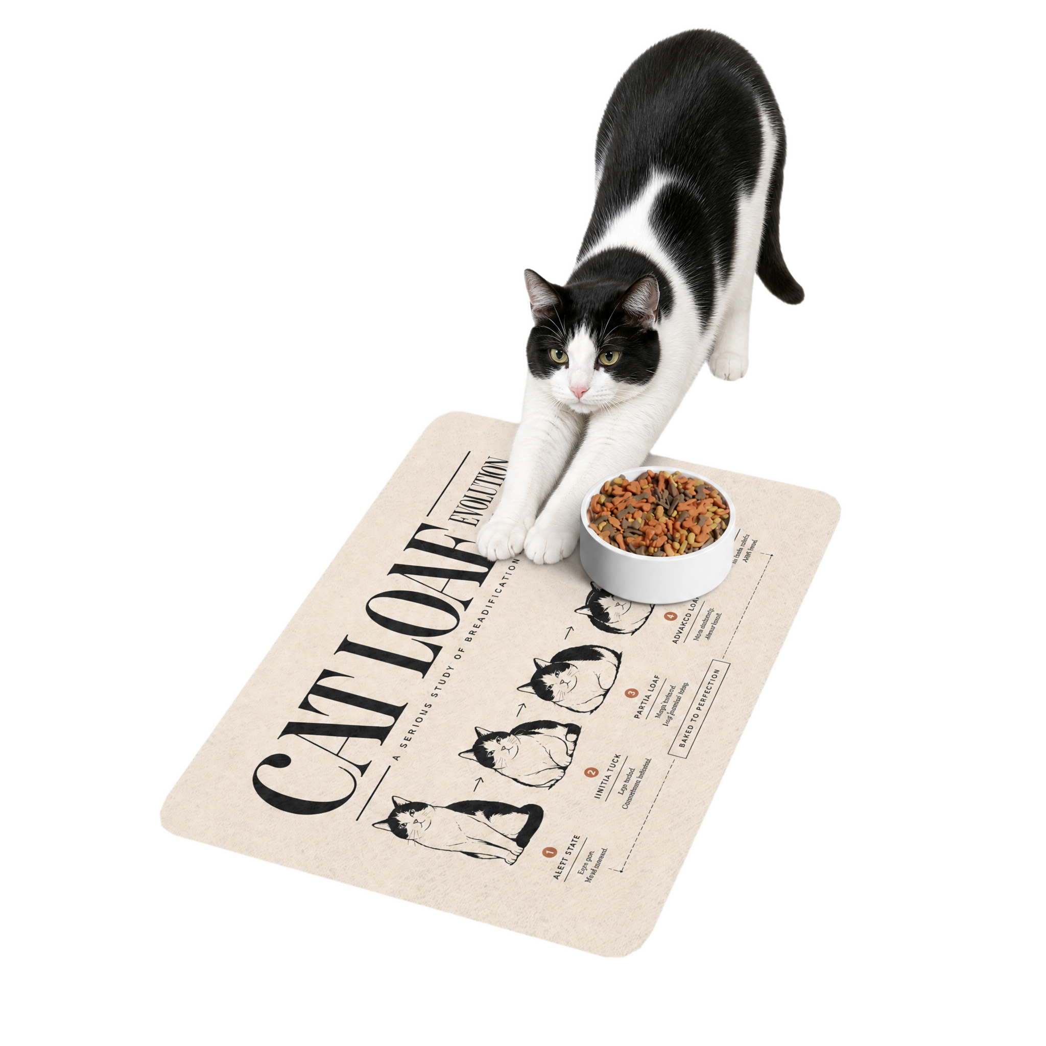 Quiet Loaf™ Cat-Loaf Pet Food Mat