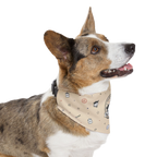 USA 250-'We The Pets' Pet Bandana