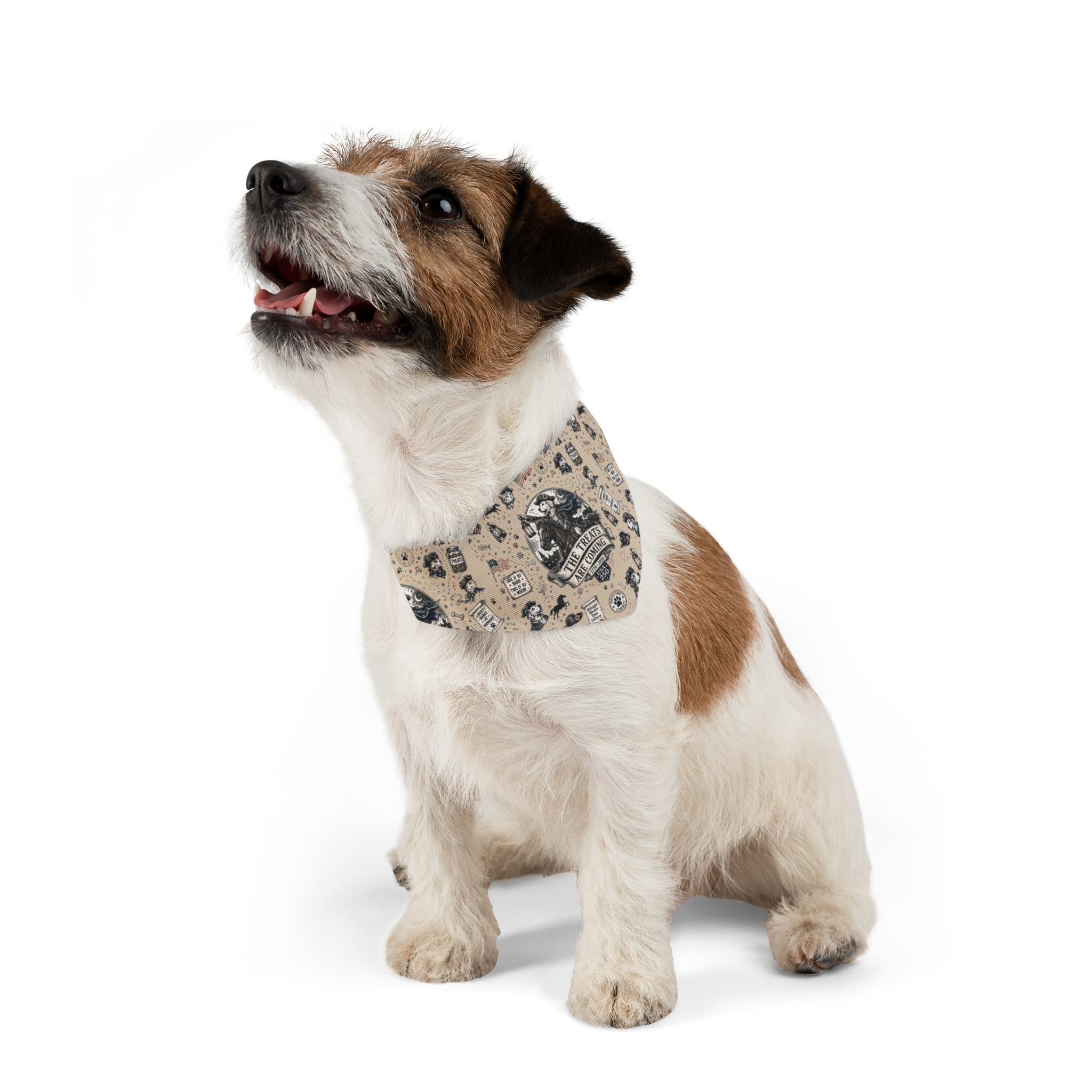USA 250 - 'The Treats Are Coming' Pet Bandana