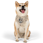 USA 250 - 'We hold these treats self-evident' Pet Bandana