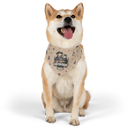USA 250 – 'The right to bear treats' Pet Bandana