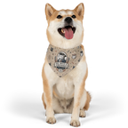 USA 250 — 'Red, White & Unbothered' Pet Bandana