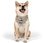 USA 250 — 'Red, White & Unbothered' Pet Bandana