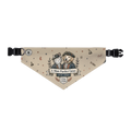 USA 250 — "A More Perfect Union" Pet Bandana