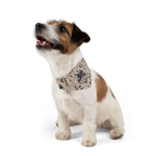 USA 250 - 'The Treats Are Coming' Pet Bandana