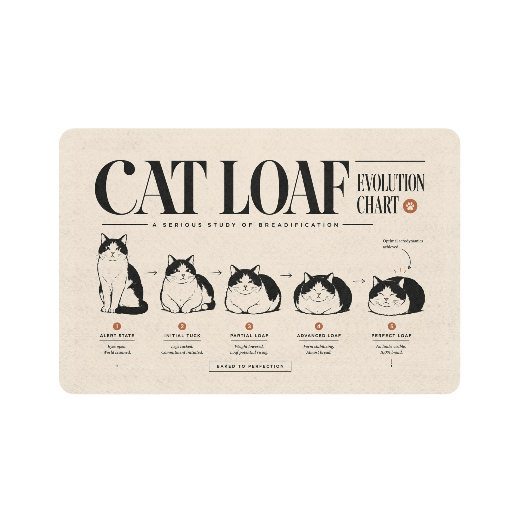 Quiet Loaf™ Cat-Loaf Pet Food Mat