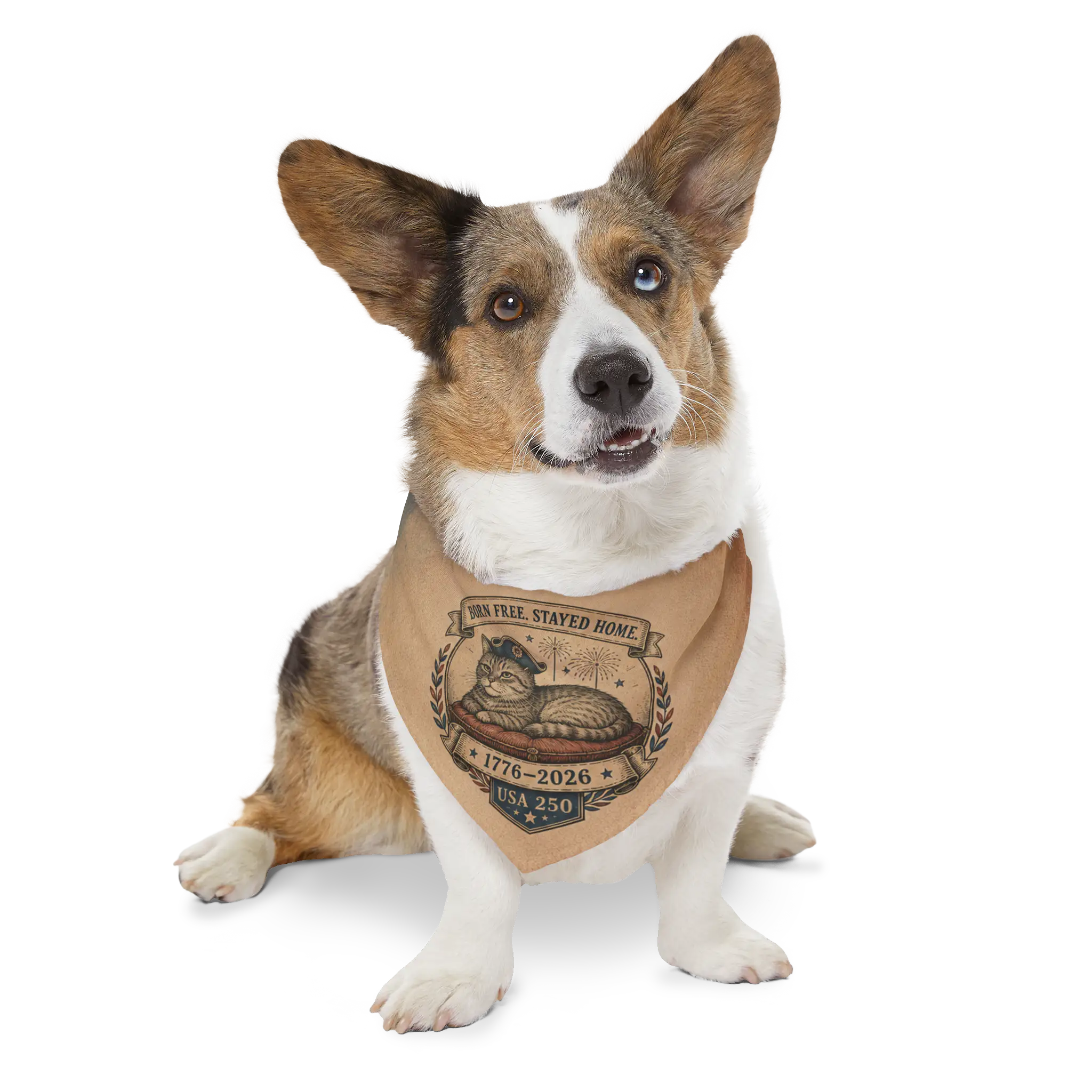 dog wears a bandana collar that is USA250 theme