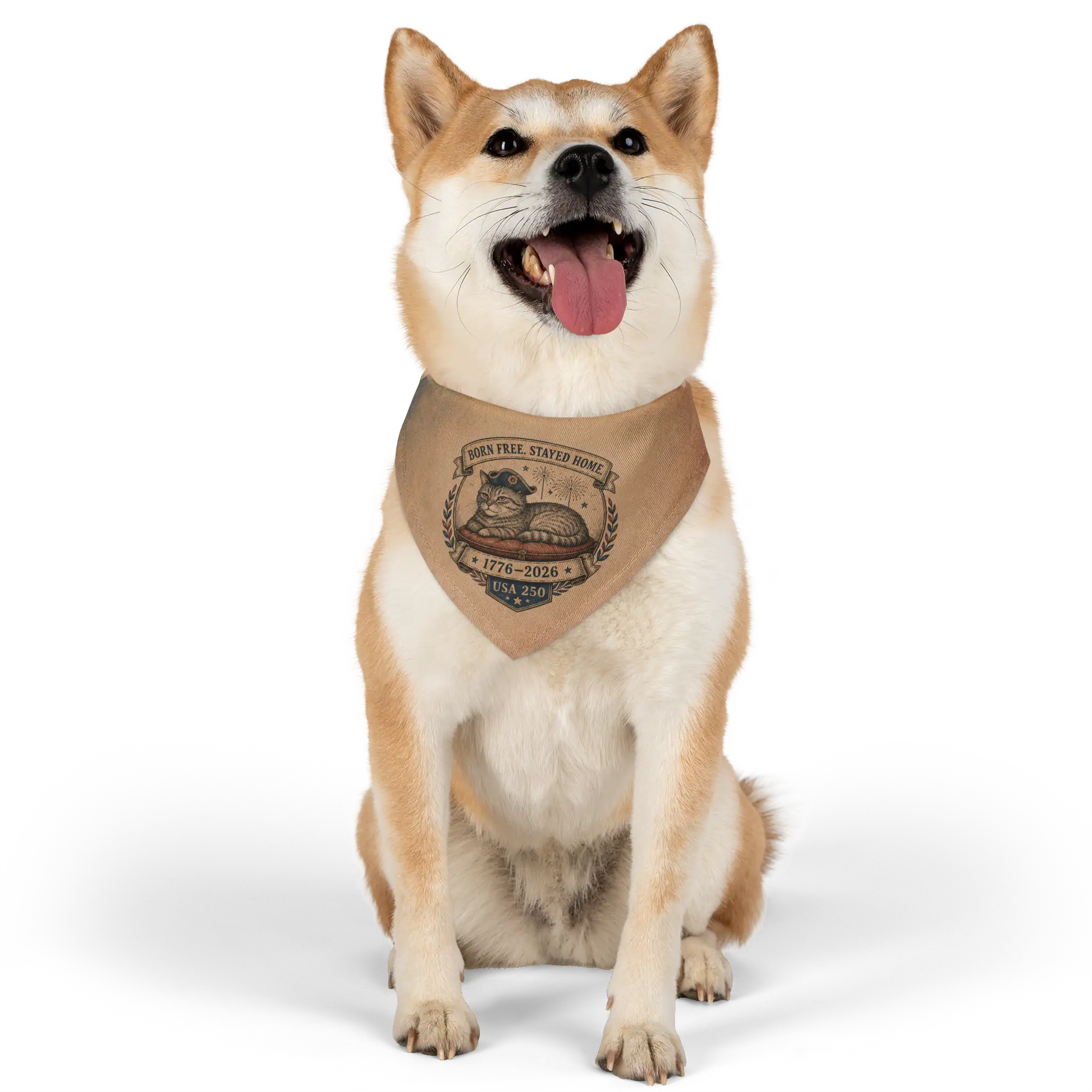 dog wears a bandana collar that is USA250 theme