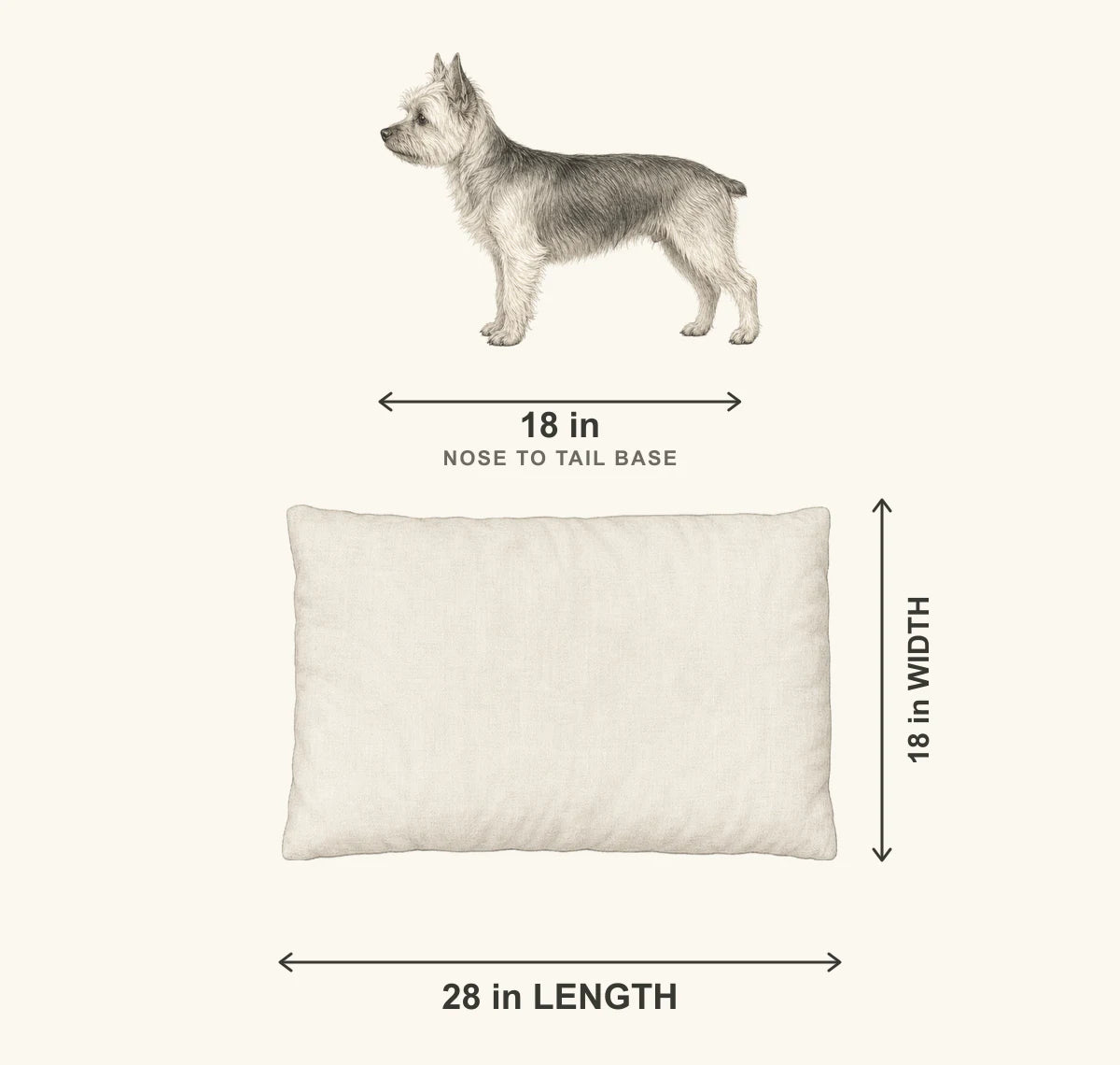 Small size guide showing an 18 inch Yorkshire Terrier above a plain top-view 28 by 18 inch pillow pet bed