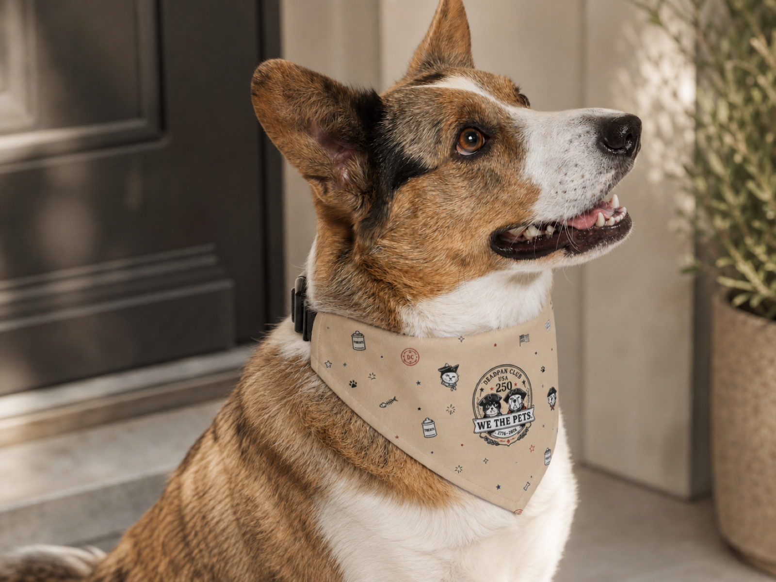 USA 250 - 'Liberty Requires Snacks' Pet Bandana bandana collar lifestyle detail